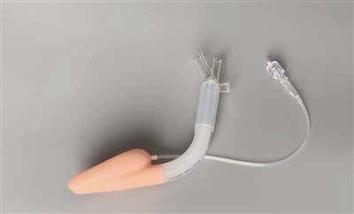 Laryngeal larva airway