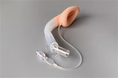 Lma protector Airway